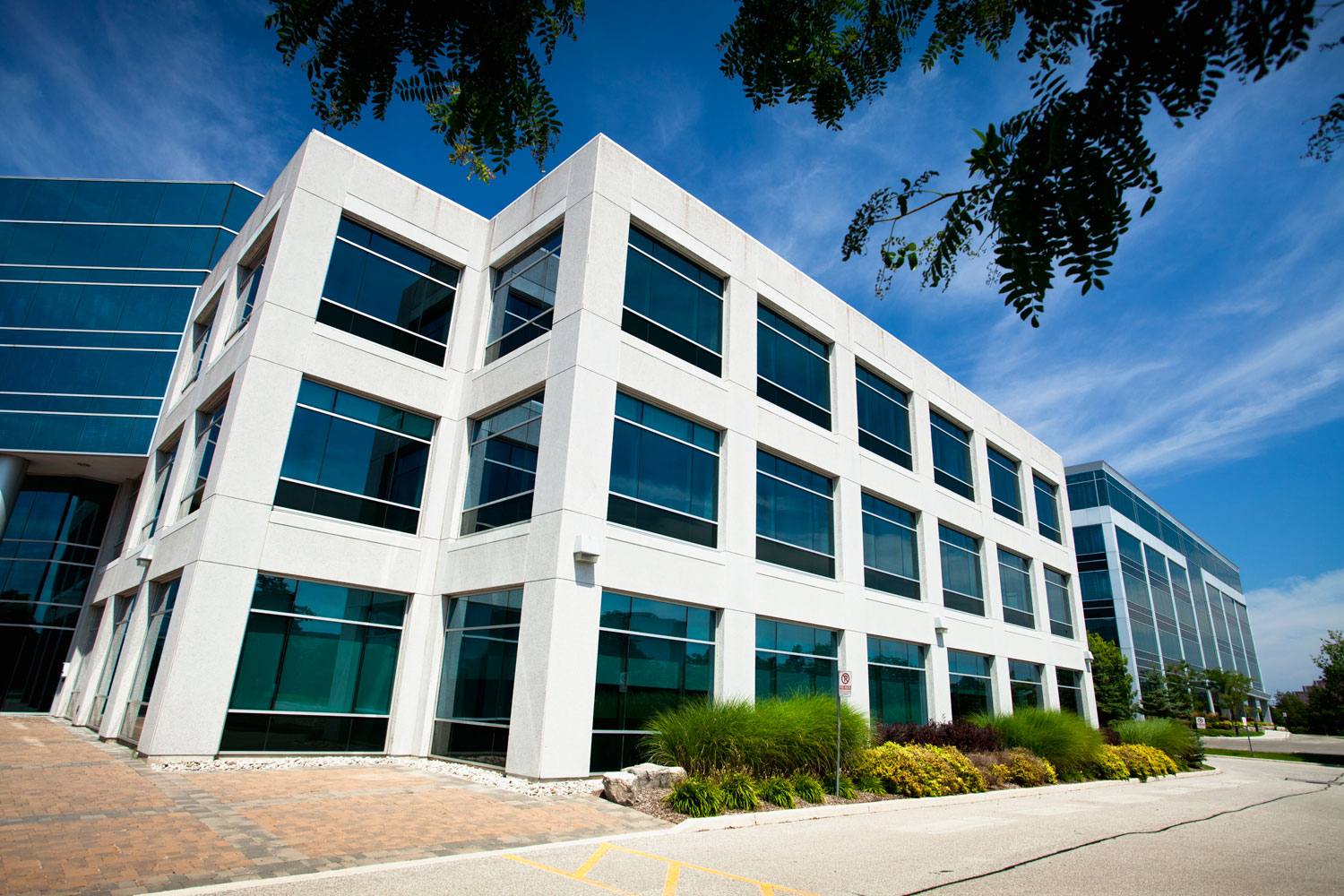Allington Advisory Pte Ltd | Corporate Advisory | Corporate Services